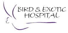 www.birdexoticvet.com